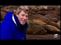 Steve's Favorite Creatures of SEASON 6 | The Crocodile Hunter | Animal Planet