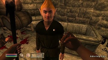 Day 436 - Killing Adoring Fan Every Day Until Elder Scrolls Skyblivion is Released