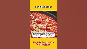 Bạn Biết Không? Nhựa Đường Làm Từ Vỏ Tôm Hùm | Khoa Học Số 6 #hoathinh #hoathinhtrungquoc