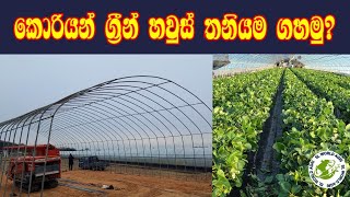 (green house plan )කොරියන් තාක්ෂණයෙන් ග්‍රීන් හවුස් එකක් තනියම ගහගමු 'SL worldagri' youtube/page