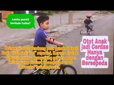 Video: Kelompok Otot Apa Yang Dikembangkan Sepeda?