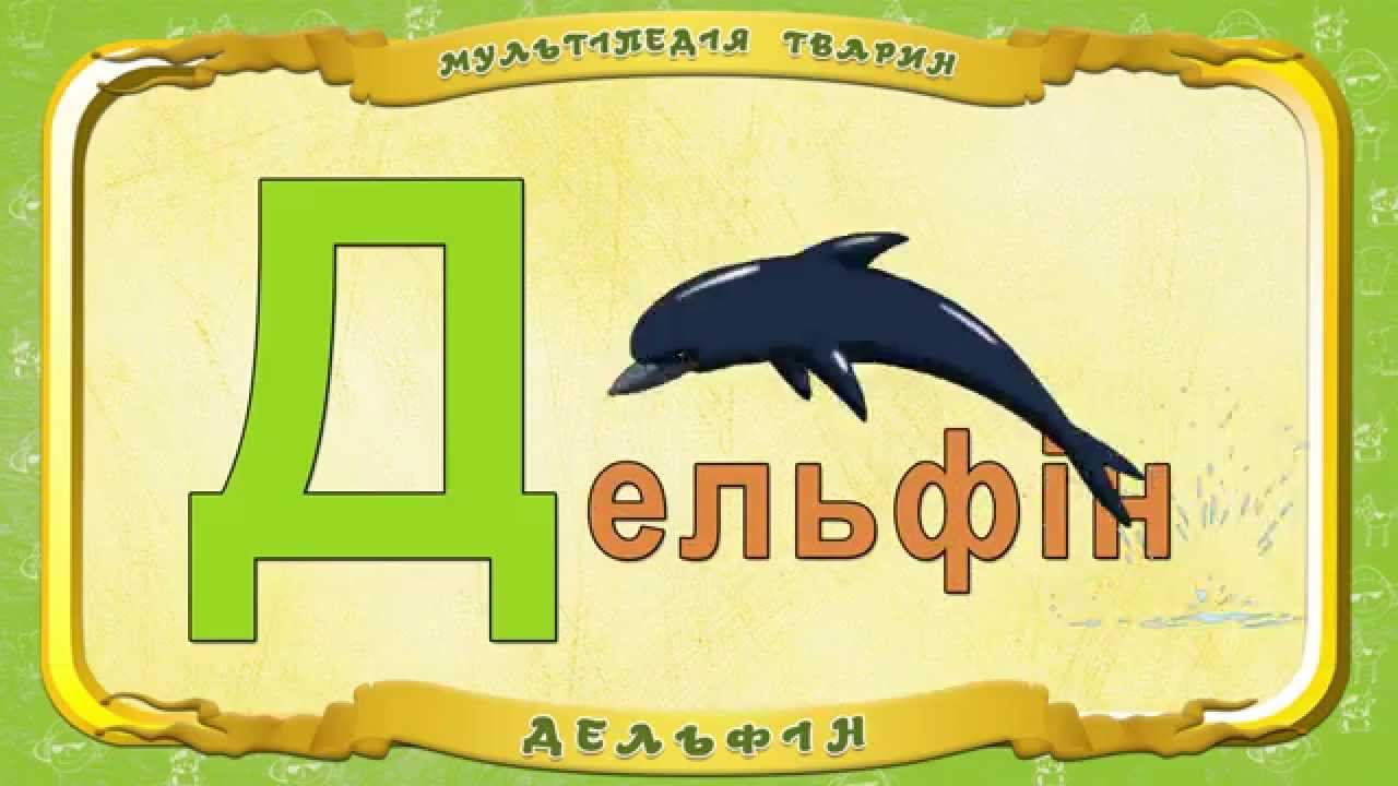 Океан на букву д. Животные на букву д. Зверь на букву д. Буква д - Дельфин. Животные на букву д для детей.