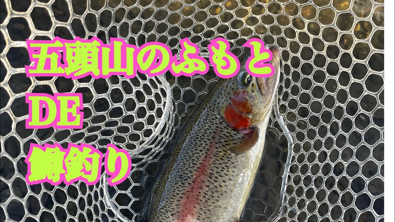 五頭フィシングパークで初心者が頑張ってみた。