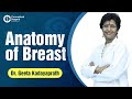 Anatomy of Breast by Dr. Geeta Kadayaprath