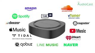 Smart Audiocast Pro Awesome Soundcan Upgrade Your Traditional Speakers To Wireless Speakers