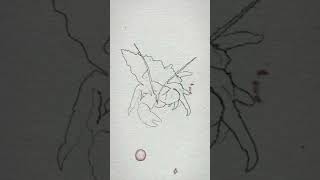 Hermit Crab Pencil on paper Hand drawn Animation. @iamYork_