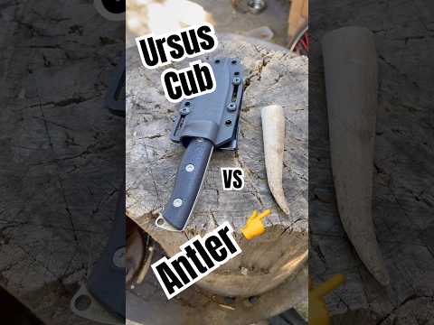 WRK Ursus Cub Magnacut