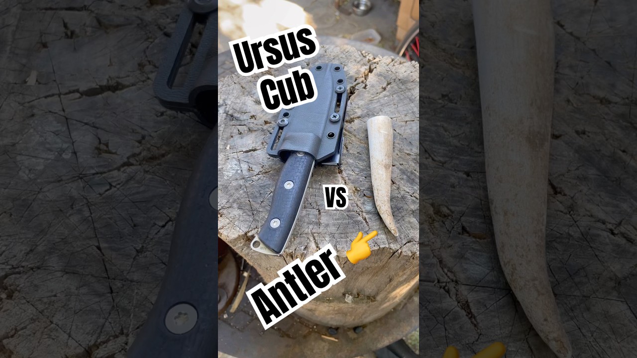 WRK Ursus Cub Magnacut #shorts #knifestuffwedo #knifetest #fixedblade