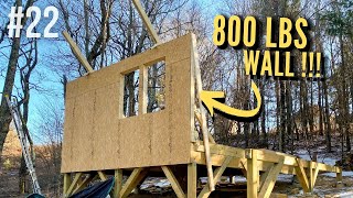 How to Raise the First Cabin Wall All Alone ! - EP 22