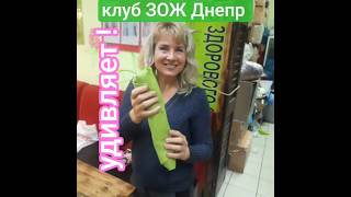 Где ещё ??? шашлык амарантовый в  лаваше из шпината!!???