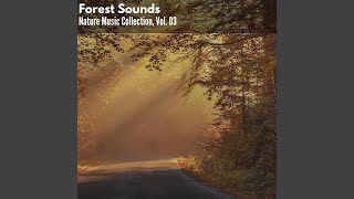 Download Lagu Joyful Country Day MP3