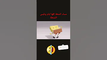 مساء الشطة كلها ايام وتلبس الشنطة 