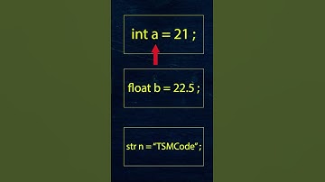 What is variable in Programming ?