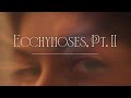 313  ecchymoses pt ii clip officiel