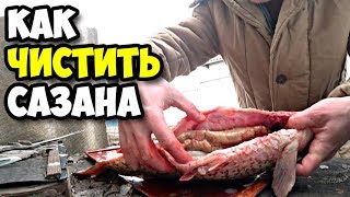 Как чистить сазана || Разделка свиной головы || Рулет из лаваша с крабовыми палочками рецепт 2019 Как чистить сазана || Разделка свиной головы || Рулет из лаваша с крабовыми палочками рецепт 2019