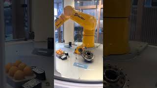Precision in Motion: The Future of Industrial Robotics