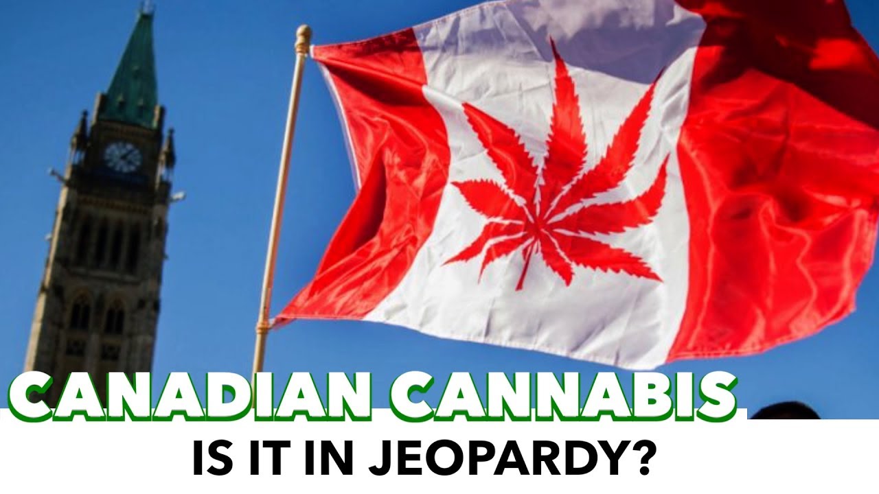Is Canadian Legalized Cannabis In Jeopardy?