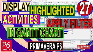 Print or display Highlighted Activities Gantt Chart different bars by apply Filter in Primavera P6