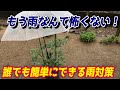 【ミニトマト】プランター栽培での雨対策 これをするだけで長く育ちます【家庭菜園】