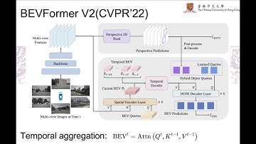 What is BEV? Introduction to the Birds