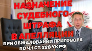 видео: Судебный штраф по ч.1 ст.228 УК РФ в апелляции при обжаловании приговора суда картинка: Судебный штраф по ч.1 ст.228 УК РФ в апелляции при обжаловании приговора суда