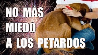 4 Trucos para Eliminar el MIEDO de tu perro a los PETARDOS a Largo y Corto Plazo