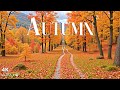 🍁 Autumn Piano Melodies – Calm Relaxing Fall Music for Sleep, Study, Meditation &amp; Emotional Healing