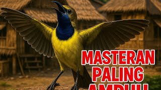 Download Lagu PALING AMPUH BUAT SOGON ANDA GACOR TERPANCING EMOSI MP3