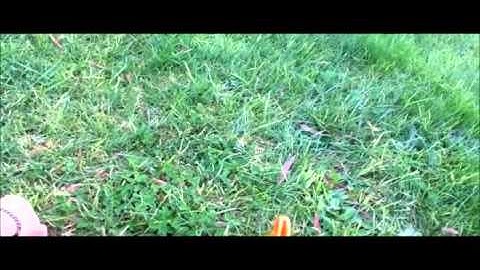 Nerf Stampede ECS (modded) Range Test