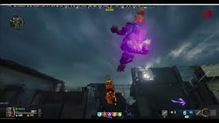 BO6 Zombies - Terminus - Mega Stuffy (All 6 Stuffy Pet Locations on Terminus) MEGA STUFFY EASTER EGG