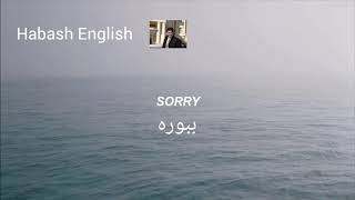 Halsey: sorry Kurdish subtitle (lyrics)