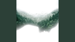 Nature’s Perfection - Soul Frequency