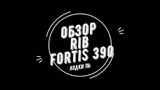 Обзор RIB Fortis 390