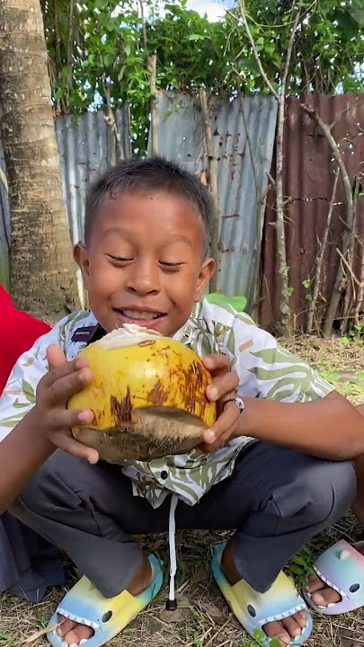 #shorts || minum buah kelapa muda 😂😅