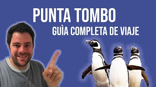 PUNTA TOMBO-CHUBUT-ARGENTINA 🐧 ! GUIA DE VIAJE todo lo que tenès que saber. screenshot 4