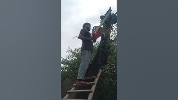 Tree Cutting 🪵🚀🚀✂️✂️