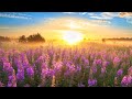 10 Hours of Relaxing Music - Sleep Music, Piano Music for Stress Relief, Sleeping Music (Gloria)