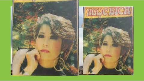 Lời Tỏ Tình Của Mùa Xuân _ St Thanh Tùng ☆ Cs Ngọc Bích _ Audio Phiên Bản 2 _ 1987 ☆ VND 25/11/2020