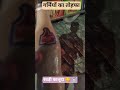 1M views...............million गर्मियों का तोहफा रबड़ी फालूदा 😋🥤#shorts