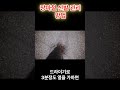 장마철 신발 관리 #장마 #젖은신발 #생활정보