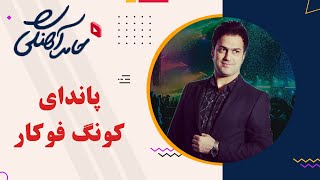 Hamed Ahangi  Concert | حامد آهنگی  پاندای کونگ فوکار