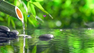 เพลงสงบเพื่อประสาท 🌿 ดนตรีบำบัดหัวใจและหลอดเลือด ผ่อนคลาย ดนตรีเพื่อจิตวิญญาณ #39