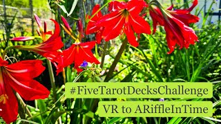 #FiveTarotDecksChallenge VR to @ariffleintime