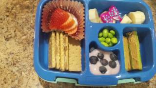 Week 23  What She Ate  School Lunches  Bento box style