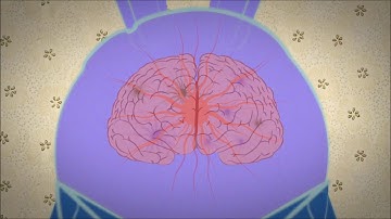 Debunking the myths of OCD   Natascha M  Santos  Edited version