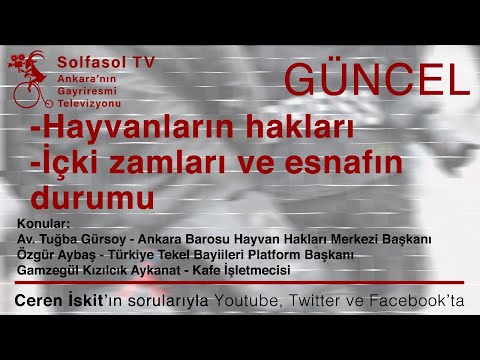 Video: Köpek Arkadaşları Gönüllülerin Hizmet Köpeklerini Yükseltmek Gerektirir