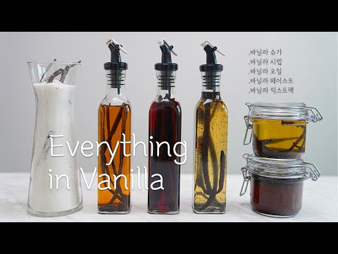 바닐라빈의 모든 것 | Everything in Vanrilla Baking Vlog | HOYA TV