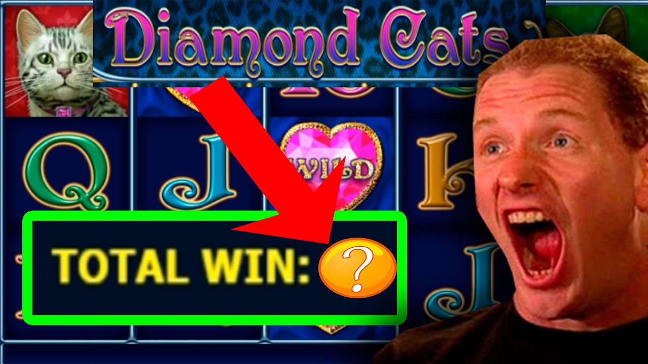 DIAMOND CATS CASINO HOW MUCH CAN EARN IN 1 MINUTES