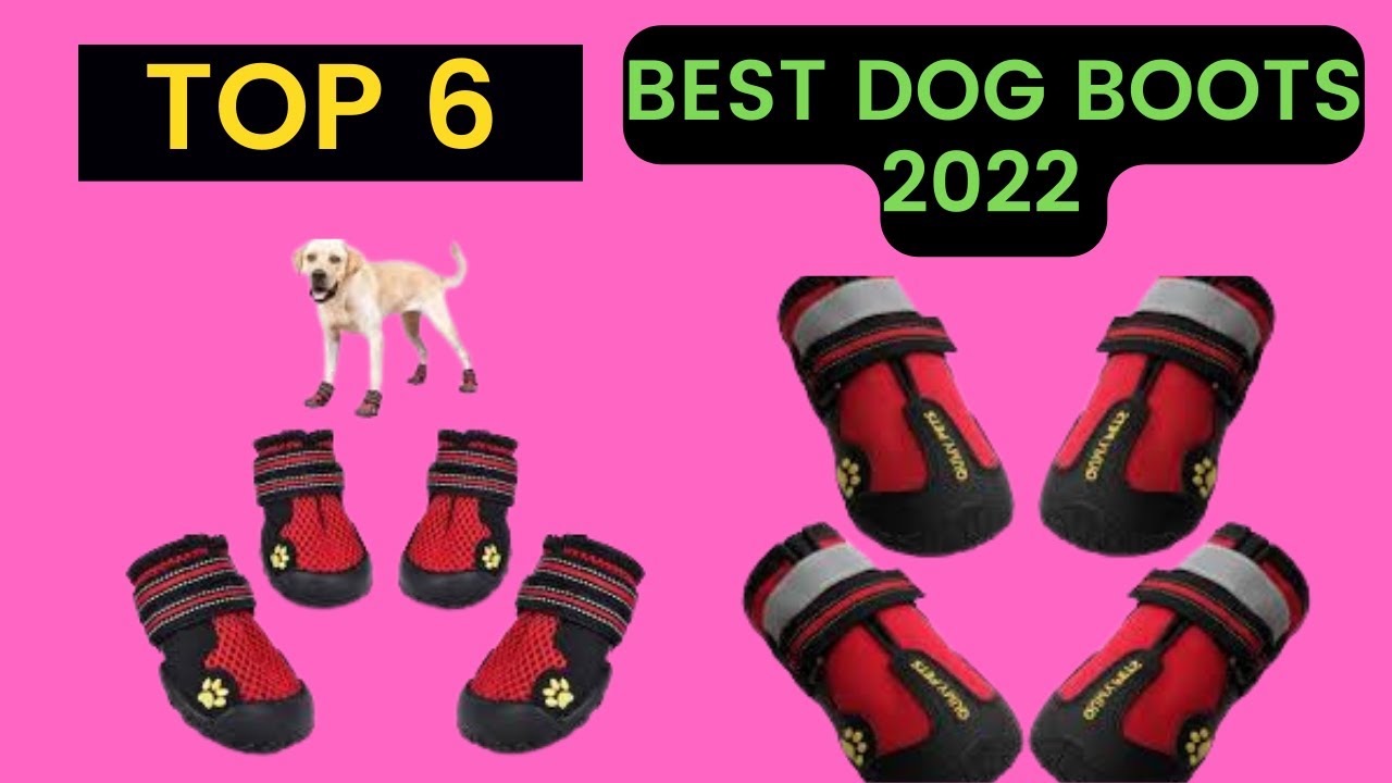 6 BEST DOG BOOTS 2022 | YOULY BOOTS | DOG BOOTS FOR WINTER | AMAZON DOG