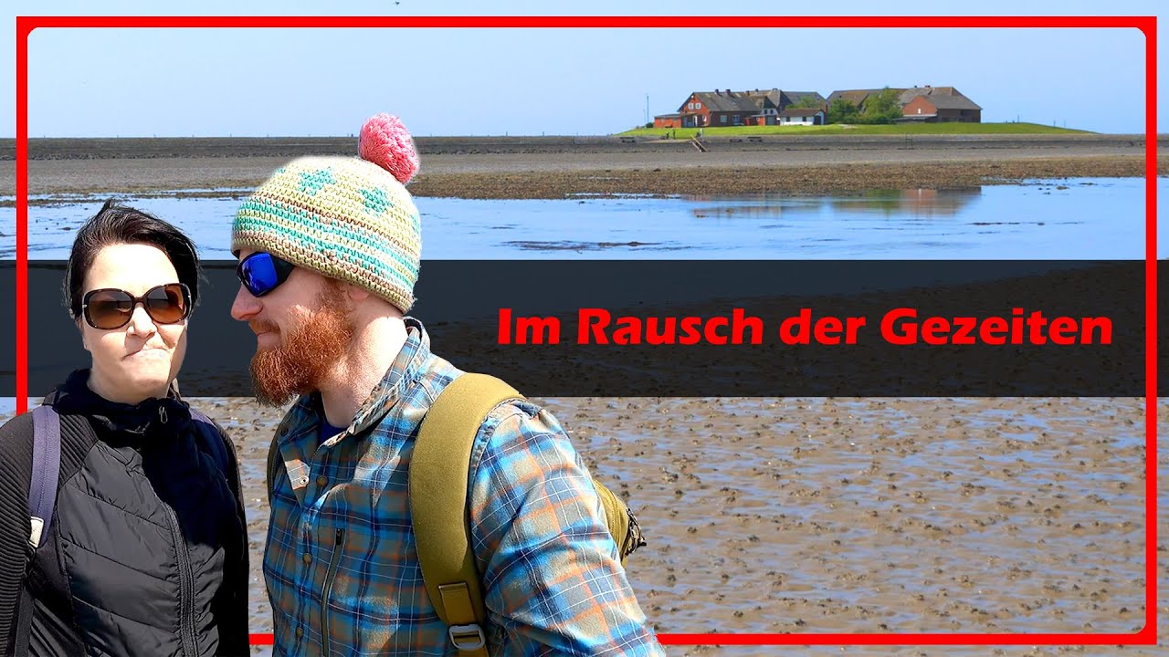 Ab auf die Hallig Langeneß - zwischen Ebbe und Flut im Nationalpark Wattenmeer